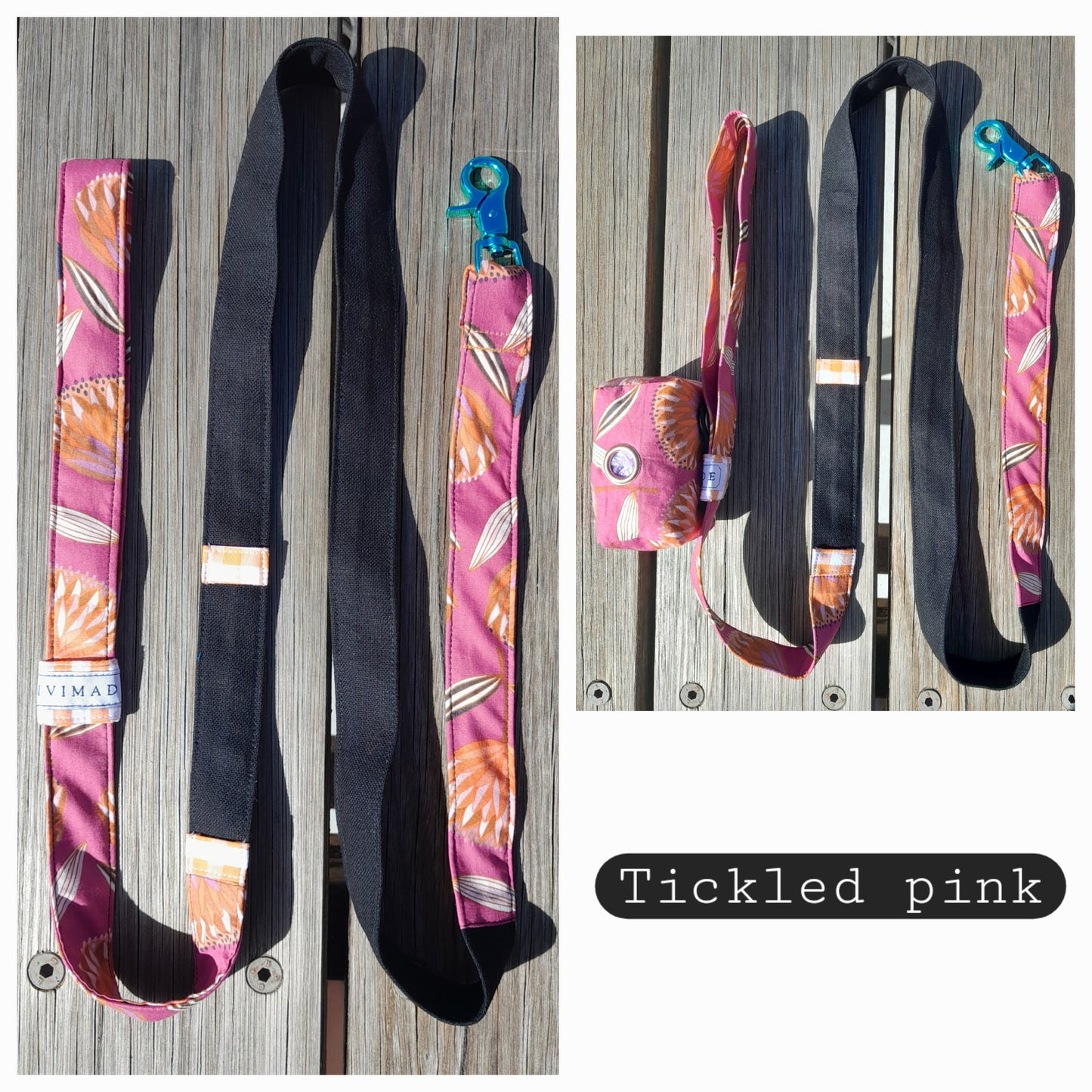 LEADS