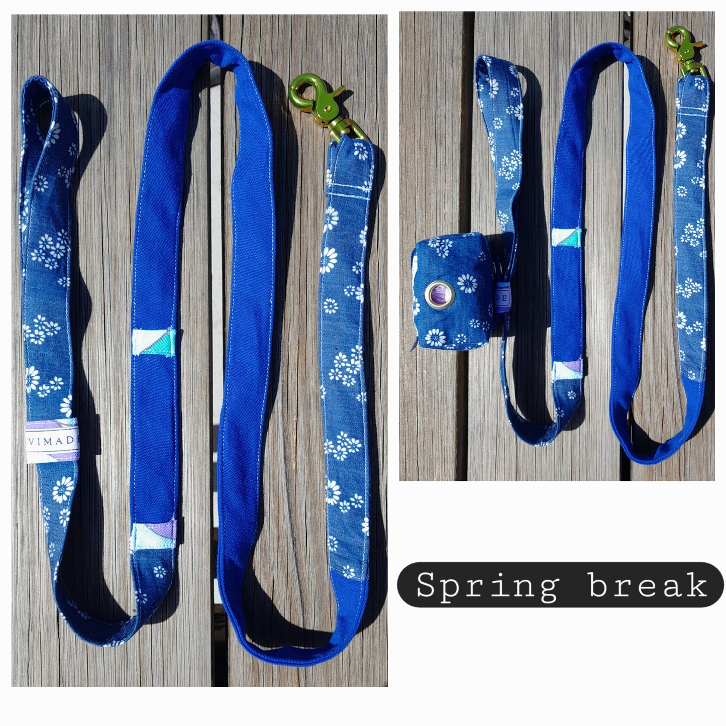 LEADS