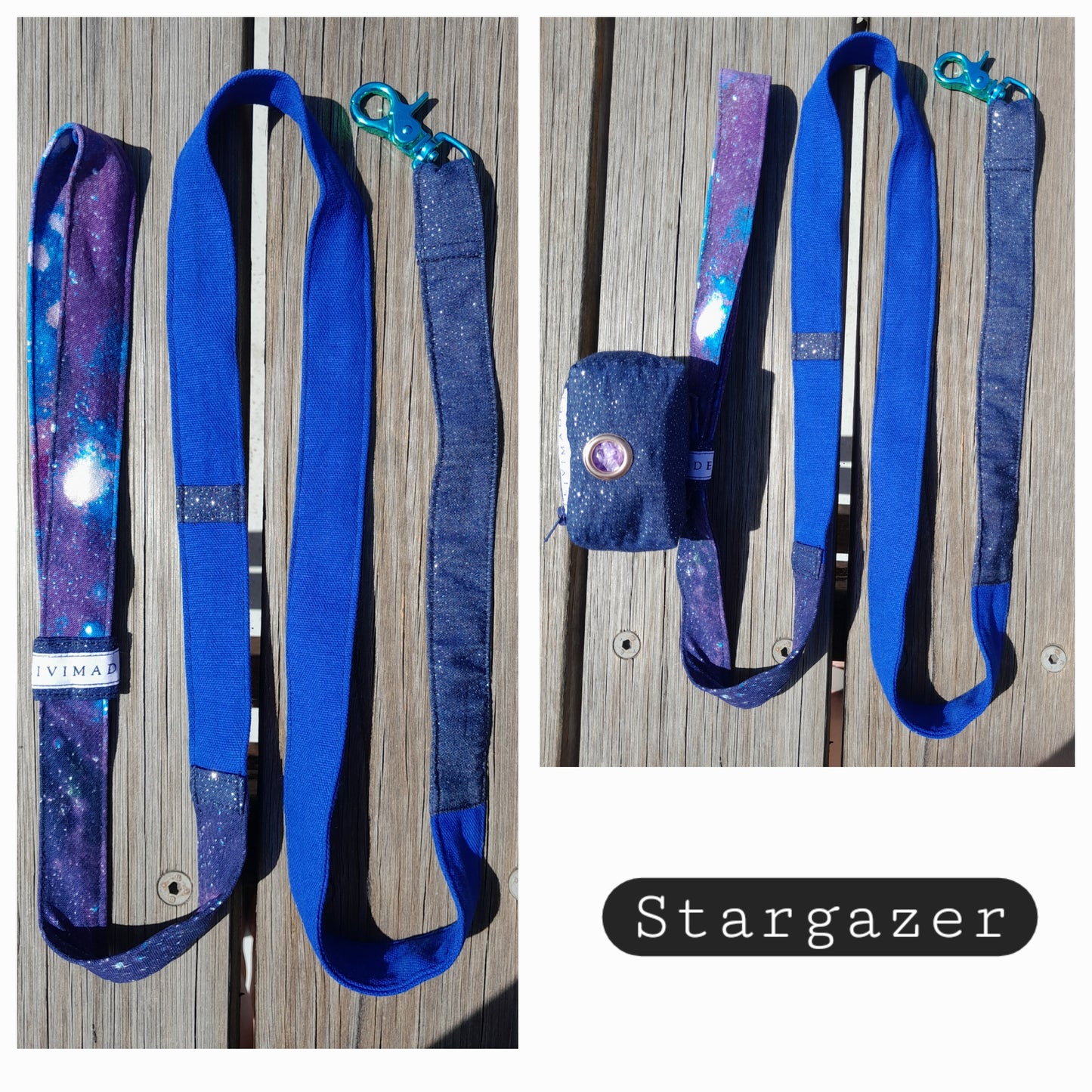 LEADS