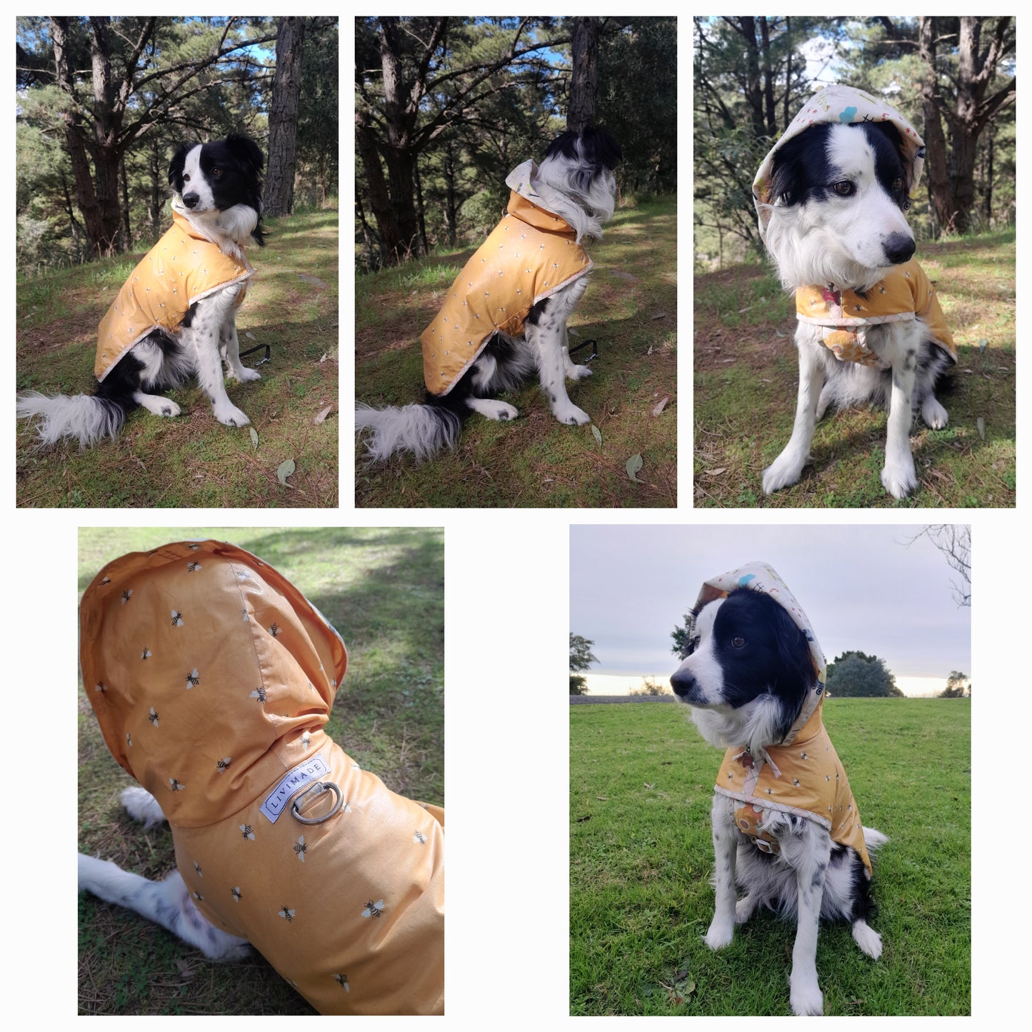DOG RAIN COAT - MADE TO ORDER